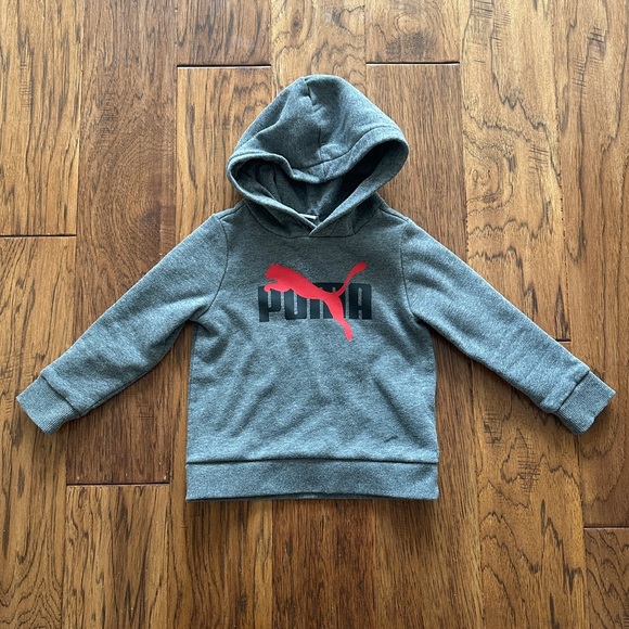 Puma Dark Grey Pullover Hoodie - Picture 2 of 5